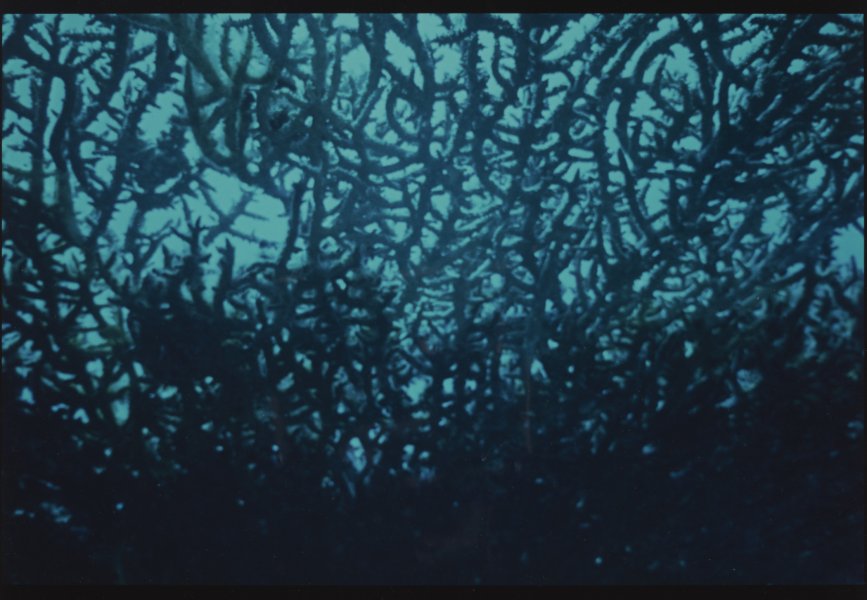 [Untitled]