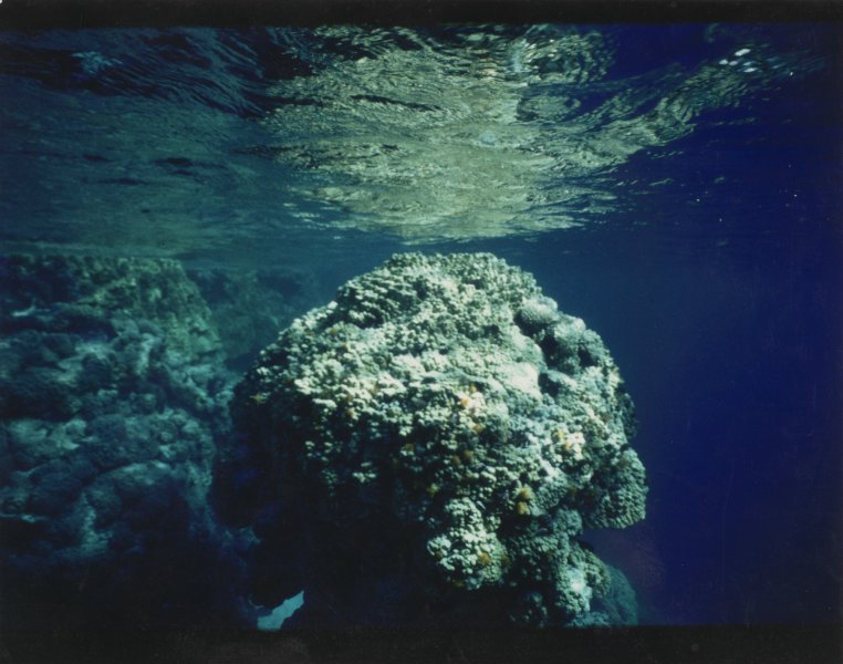 [Untitled]