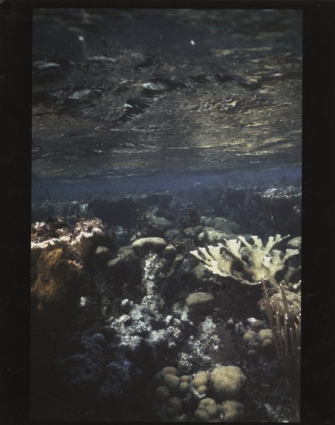 [Untitled]