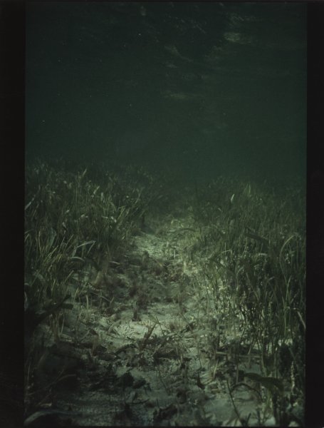 [Untitled]