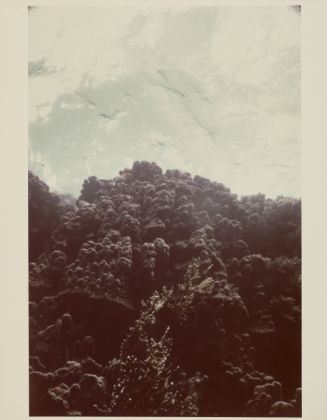 [Untitled]
