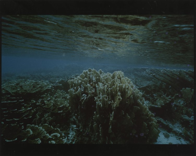 [Untitled]