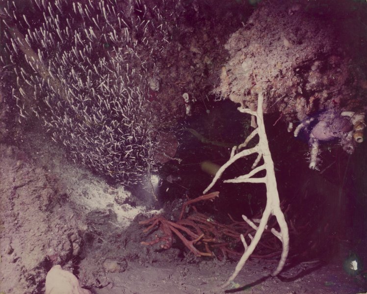 [Untitled]