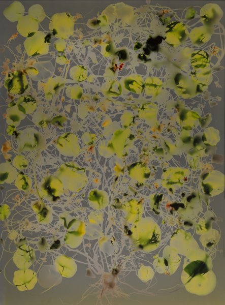 from the series 