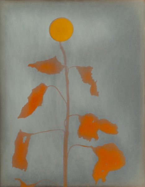 Untitled from the series "Inbetween"