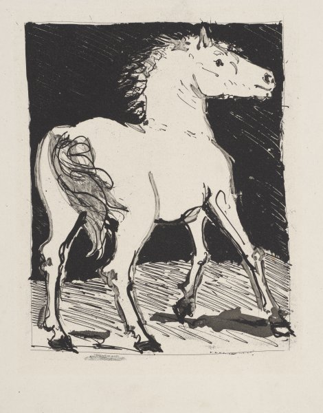 Le Cheval (The Horse) from the portfolio Illustrations for Histoire Naturelle by Buffon