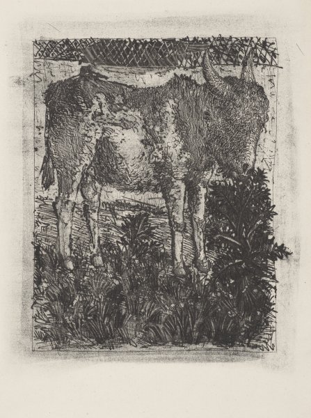 L'Âne (The Donkey) from the portfolio Illustrations for Histoire Naturelle by Buffon