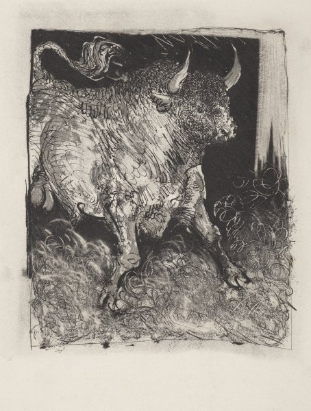Le Taureau (The Bull) from the portfolio Illustrations for Histoire Naturelle by Buffon