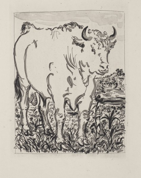 Le Boeuf (The Ox) from the portfolio Illustrations for Histoire Naturelle by Buffon
