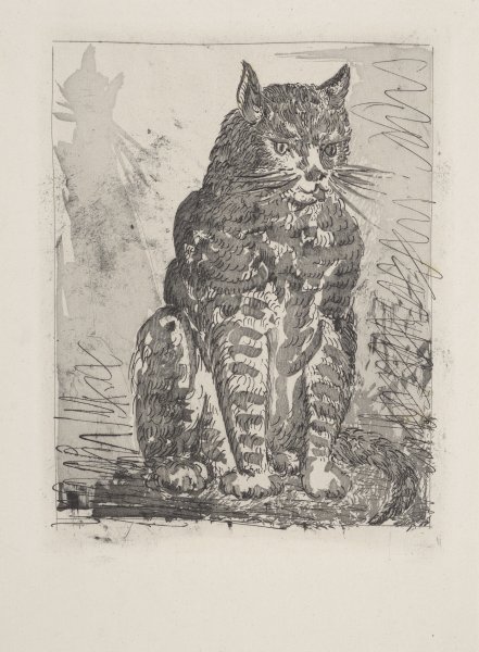 Le Chat (The Cat) from the portfolio Illustrations for Histoire Naturelle by Buffon
