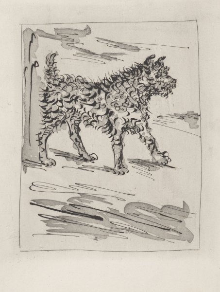 Le Chien (The Dog) from the portfolio Illustrations for Histoire Naturelle by Buffon