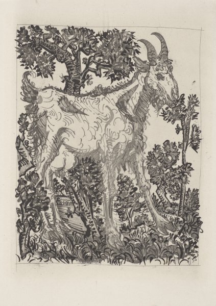 La Chèvre (The Goat) from the portfolio Illustrations for Histoire Naturelle by Buffon