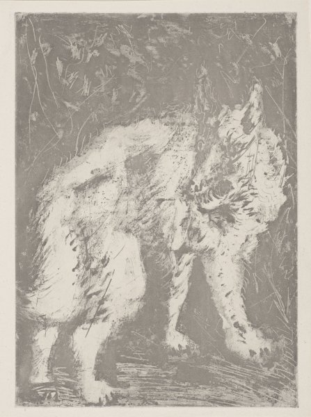 Le Loup (The Wolf) from the portfolio Illustrations for Histoire Naturelle by Buffon
