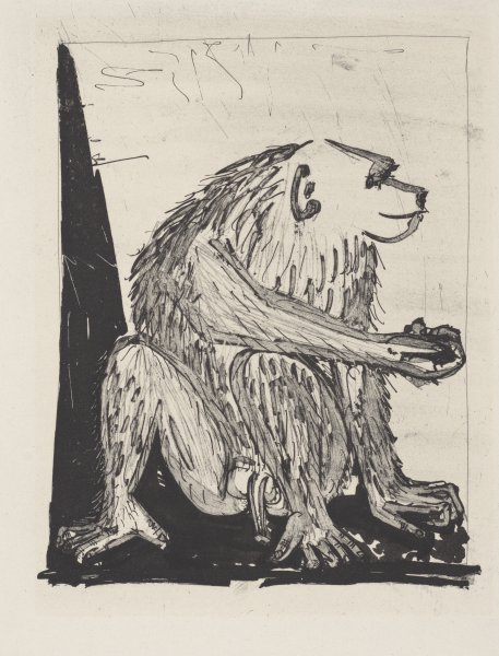 Le Singe (The Monkey) from the portfolio Illustrations for Histoire Naturelle by Buffon