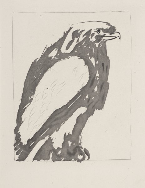 L'Aigle blanc (The White Eagle) from the portfolio Illustrations for Histoire Naturelle by Buffon