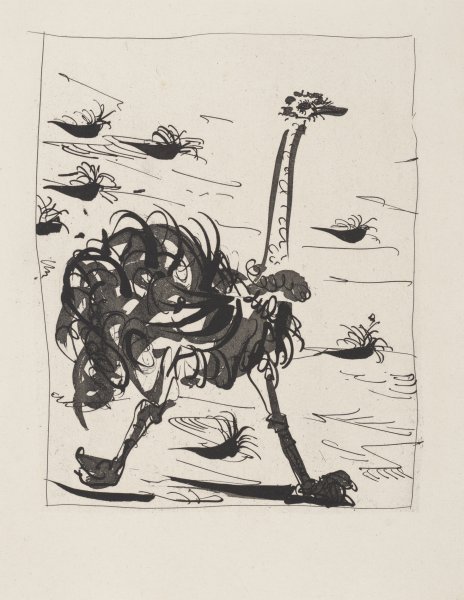 L'Autruche (The Ostrich) from the portfolio Illustrations for Histoire Naturelle by Buffon