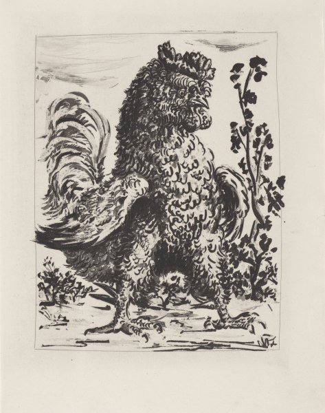 Le Coq (The Rooster) from the portfolio Illustrations for Histoire Naturelle by Buffon