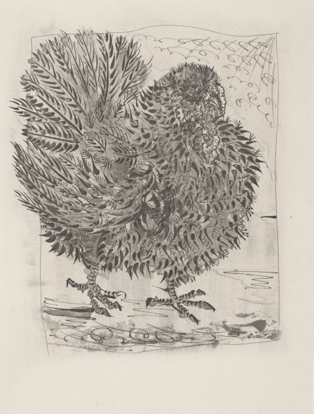 Le Dindon (The Turkey) from the portfolio Illustrations for Histoire Naturelle by Buffon