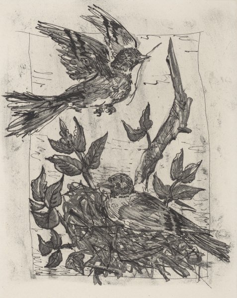 Le Chardonneret (The Goldfinch) from the portfolio Illustrations for Histoire Naturelle by Buffon