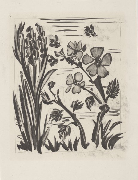 L'Abeille (The Bee) from the portfolio Illustrations for Histoire Naturelle by Buffon