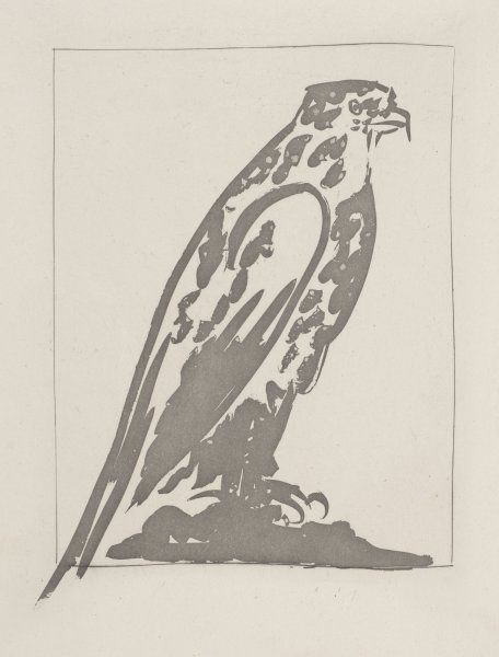 L'Épervier (The Sparrowhawk) from the portfolio Illustrations for Histoire Naturelle by Buffon