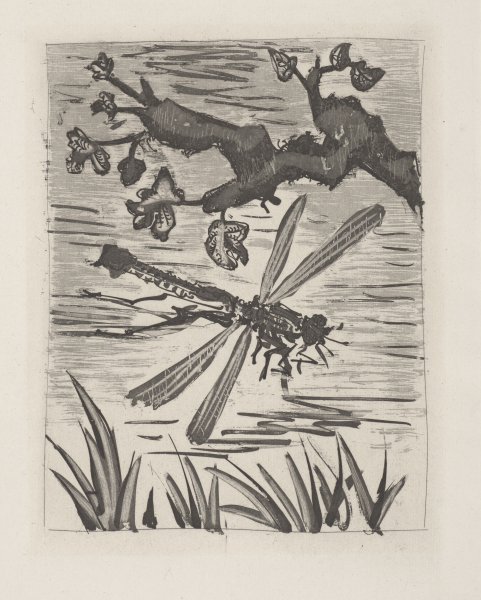 La Libellule (The Dragonfly) from the portfolio Illustrations for Histoire Naturelle by Buffon