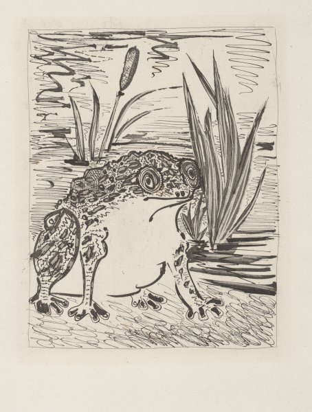 Le Crapaud (The Toad) from the portfolio Illustrations for Histoire Naturelle by Buffon