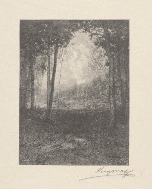 Landscape