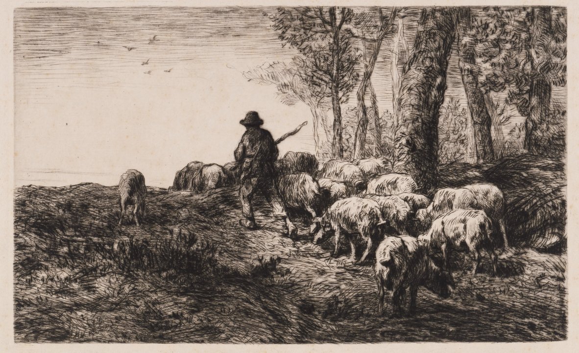 Shepherd and Sheep