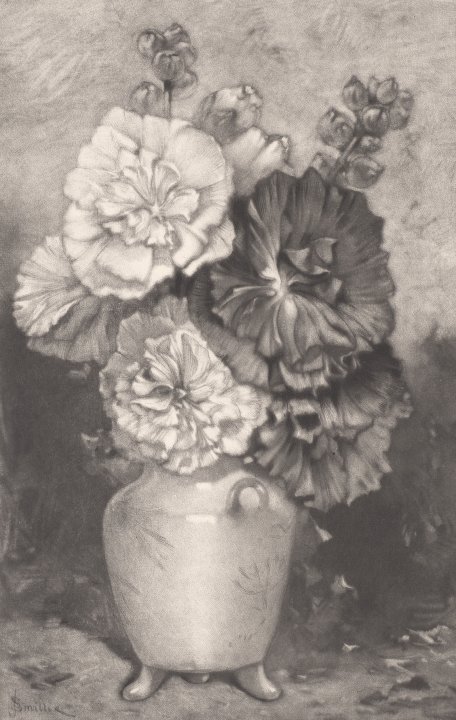 Hollyhocks