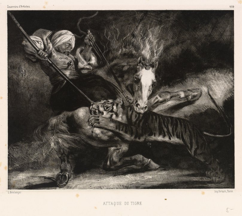 Attack of Tiger