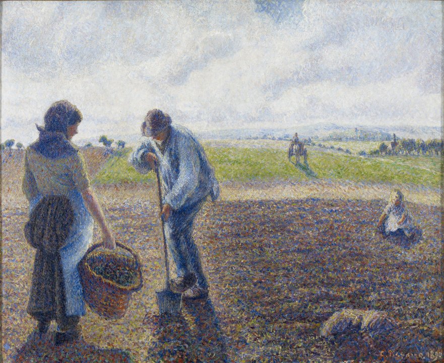 peasants working in the field