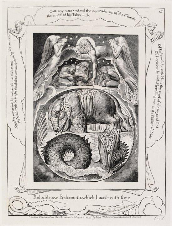 Behemoth and Leviathan from the series Illustrations of the Book of Job