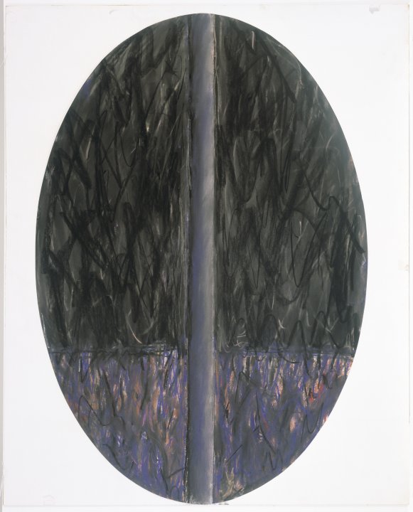 Oval Drawing
