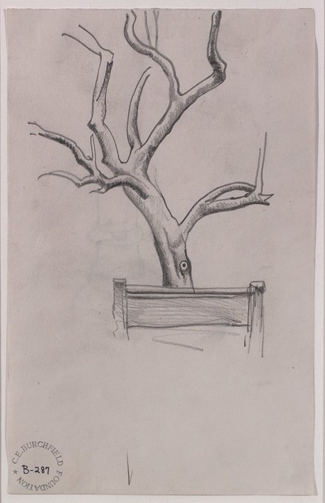Tree and Park Bench in Winter