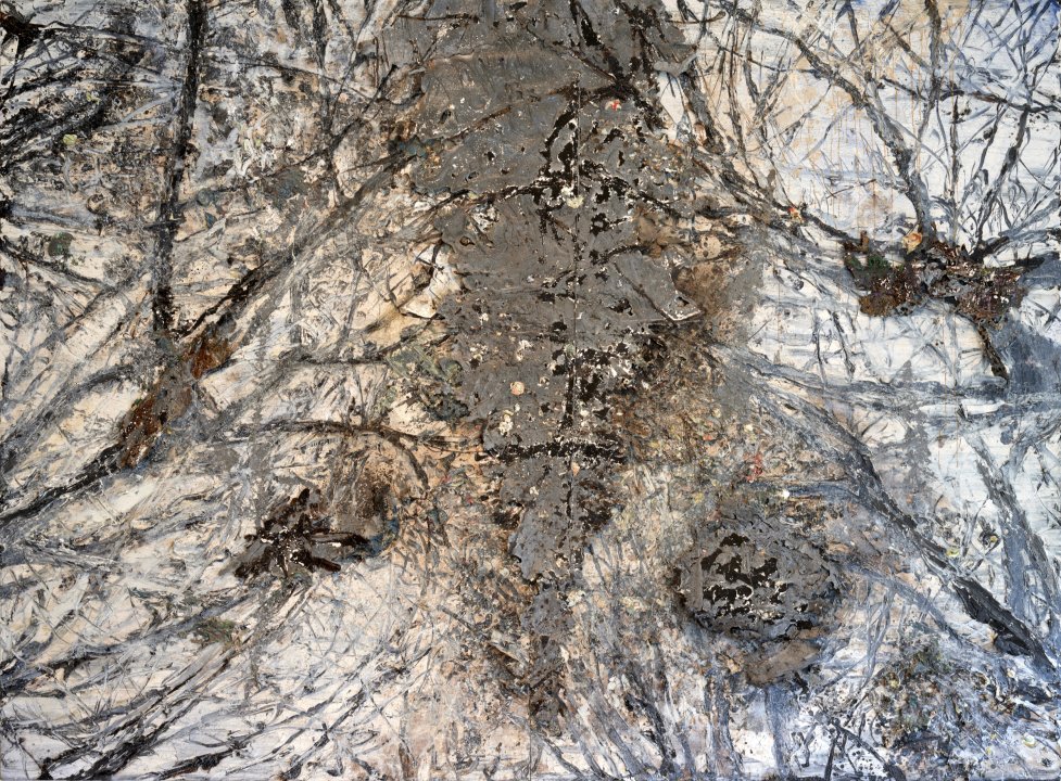 Gehäutete Landschaft (Skinned Landscape)