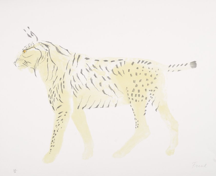 Lynx from the series Wild Animals