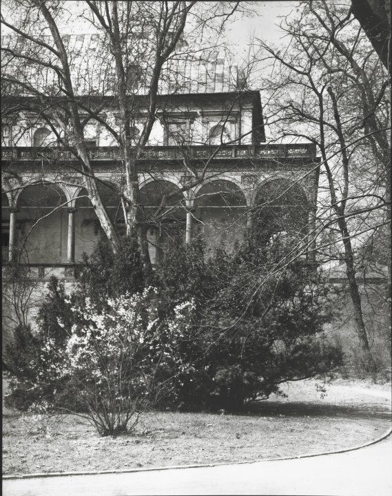 [Three gelatin silver prints]