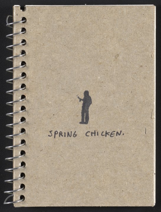 Spring Chicken from the portfolio Artifacts at the End of a Decade
