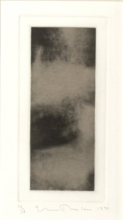 Untitled from the portfolio Garden: Amagansett
