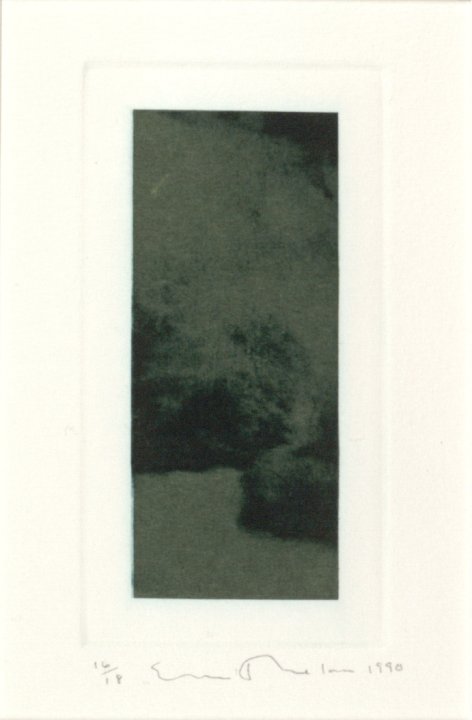 Untitled from the portfolio Garden: Amagansett