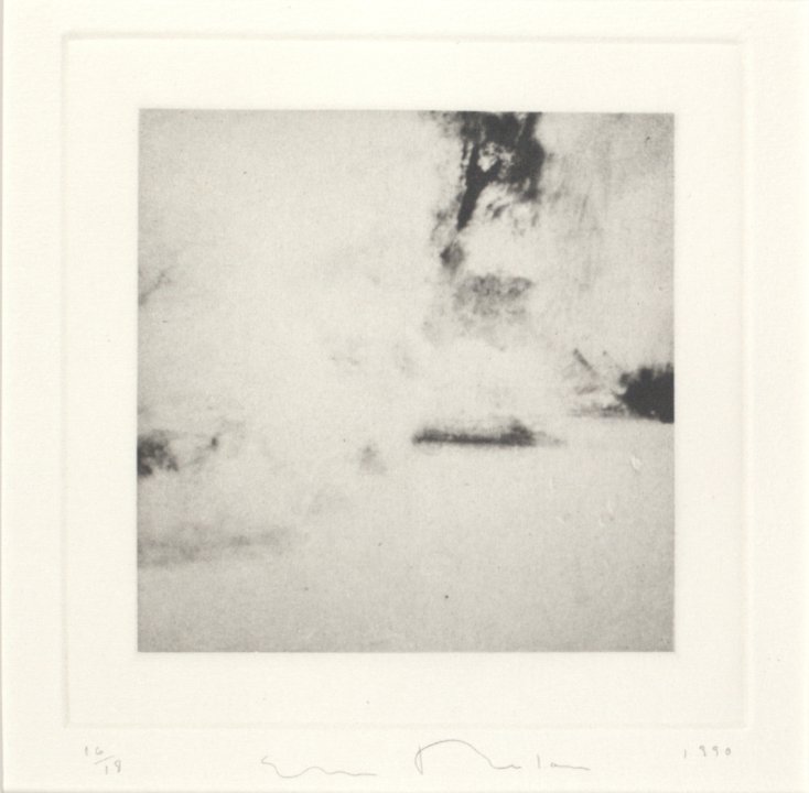 Untitled from the portfolio Garden: Armagansett