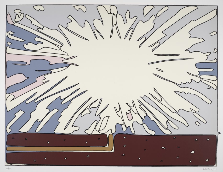 Untitled from the portfolio Exploding Cell