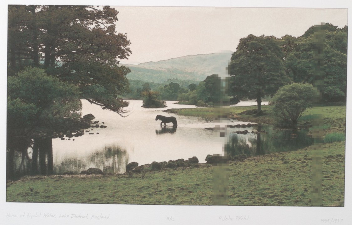 Horse at Rydal Water, Lake District, England from the portfolio Permutations on the Picturesque