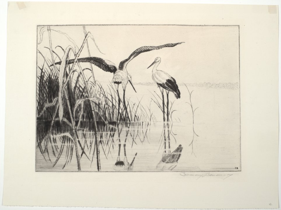 At Rest in the Marsh