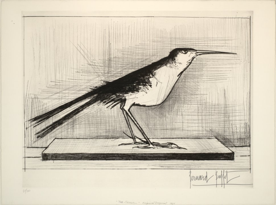 The Seagull
