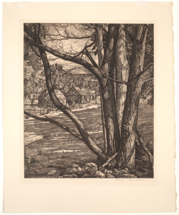 Tree Rhythm