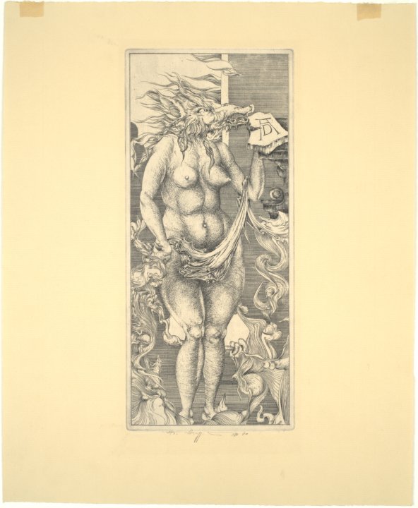 Homage to Albrecht Durer