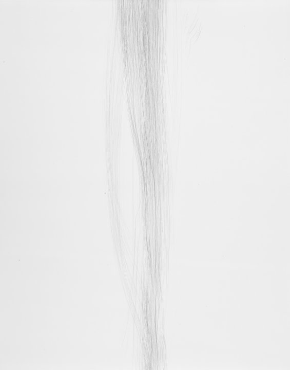 Untitled (Brush)