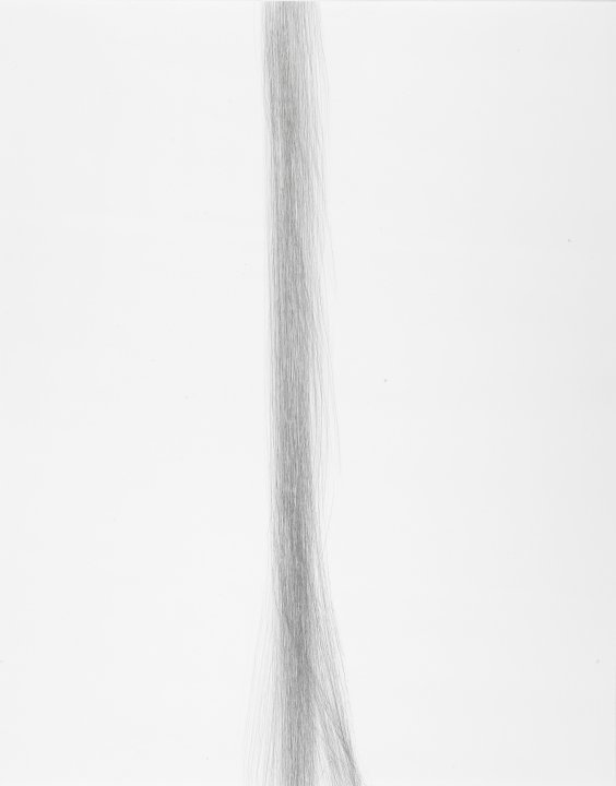Untitled (Brush)